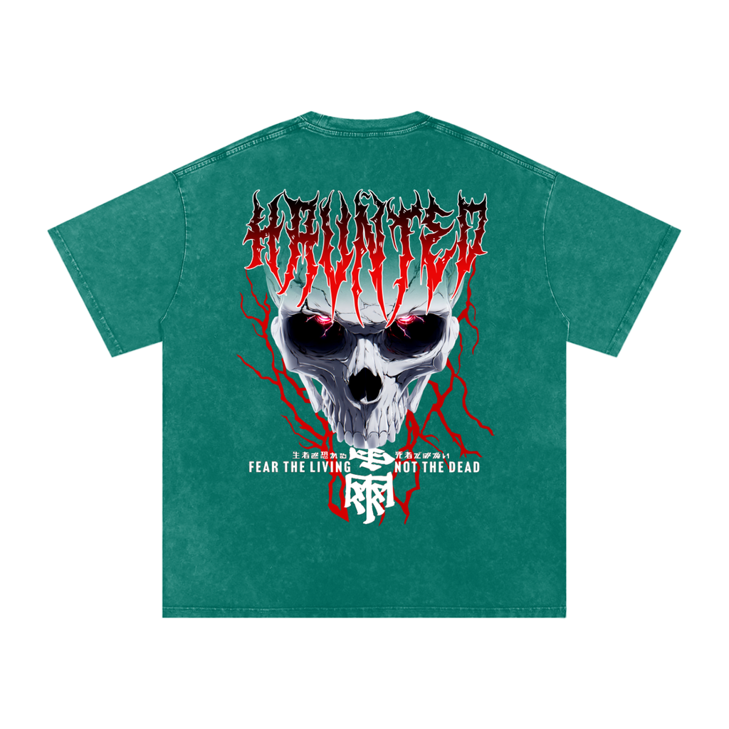 HAUNTED Washed T-Shirt